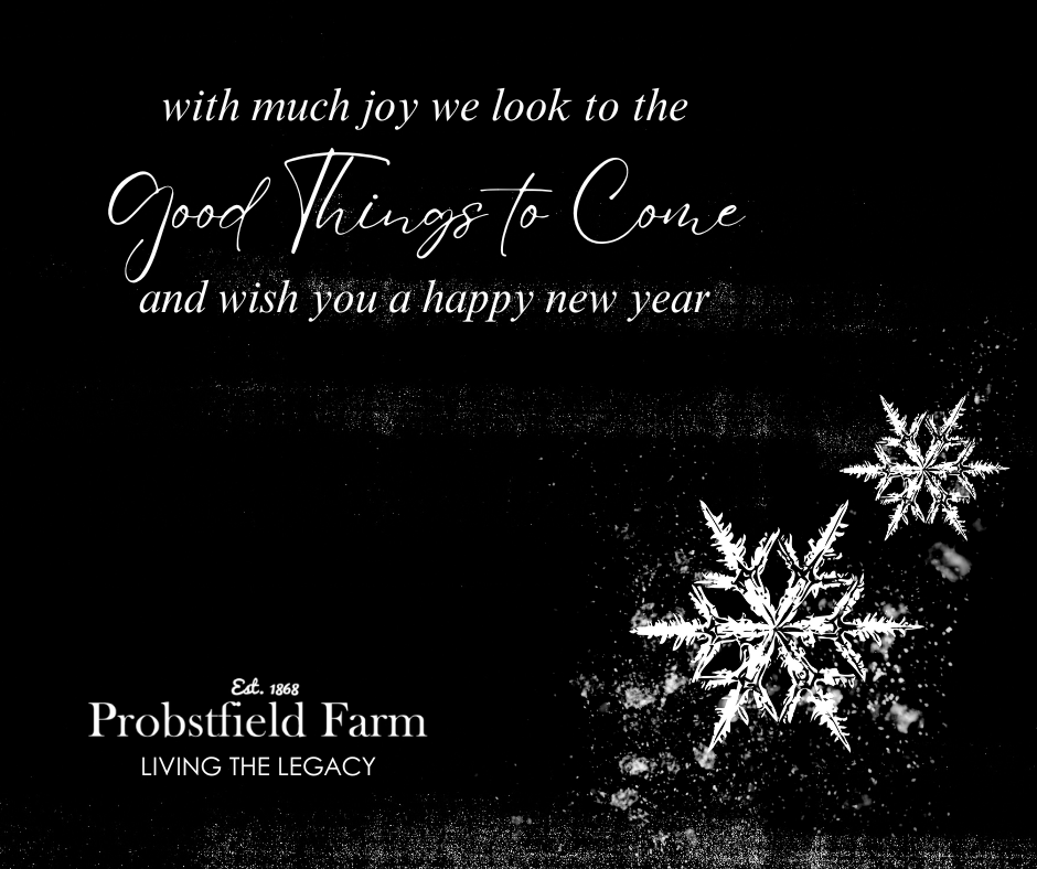 With much joy we look to the good things to come and wish you a happy new year.